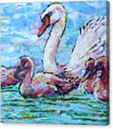 Vigilant White Swan Canvas Print