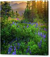 Mount Rainier Sunburst Canvas Print