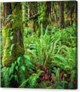 Mount Si Forest Canvas Print
