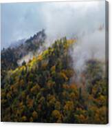 Mountainside Canvas Print