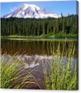 Mt Rainier Reflected With Reeds Canvas Print