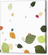 Multi Colored Leaves Falling Over White Background Canvas Print