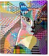 Multicolor Cat 676 Patterns Canvas Print