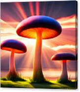 Mushroom Trio Canvas Print