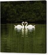 Mute Swans 02 Canvas Print