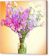 My  Sweet  Peas Canvas Print