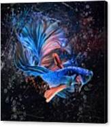 Mysterious Blue Betta Fish Aquatic Portrait Canvas Print