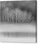 Naked Aspens In The Yosemite Fog, Black And White Canvas Print