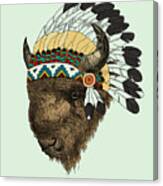 Native American Bison Canvas Print