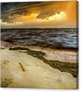 Nature's Spectacle Canvas Print