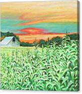 Neola Corn Canvas Print