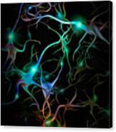 Neurons Network Canvas Print