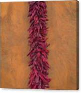 New Mexico Red Chile Ristra Abstract Canvas Print