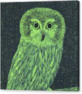 Night Visions Barn Owl Canvas Print