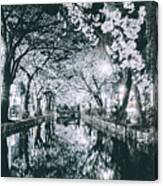 Nightscapes, Sakura, Kyoto Canvas Print