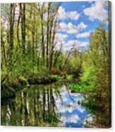 Nisqually Reflections Canvas Print