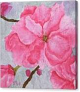 No.4 Cherry Blossoms Canvas Print