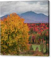 Northern Vermont Autumn Canvas Print