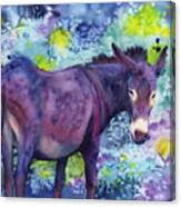 Purple Donkey Canvas Print