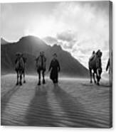 Nubra Valley Camels Canvas Print