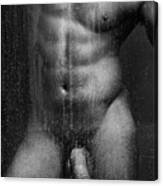 Nude Male Body Canvas Print