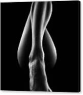 Nude Woman Bodyscape 56 Canvas Print