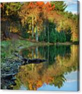 Oakley Corners State Forest Canvas Print