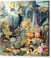 Ocean Life By James M. Sommerville Canvas Print