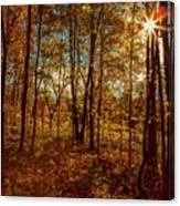 October Lakeside Lights Canvas Print