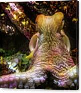 Octopus - Deep Underwater Canvas Print