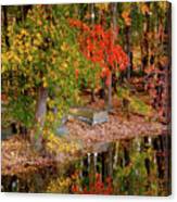 Ode To The Oranges And  Yellows  Of Autumn Canvas Print