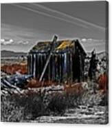 Old Abandon Tool Shed Canvas Print