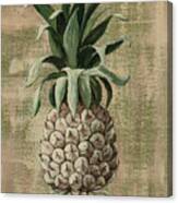 Old Fasion Pineapple 2 Canvas Print