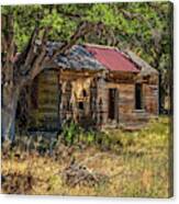 Old House Canvas Print
