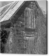 Old Shed, Harris County, 1985 Canvas Print