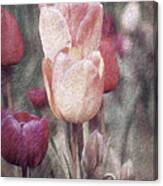 Old Tulip Oil Painting Canvas Print