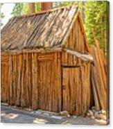 Old Wooden Shed Canvas Print