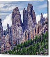 On The Needles Highway Canvas Print