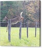 On The Run Canvas Print