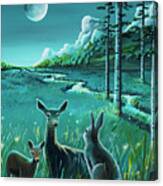 One Night In The Meadow Canvas Print