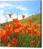 Once Upon A Time In A Poppy Field Canvas Print