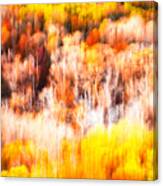 Optical Fiber Fall Foliage Canvas Print