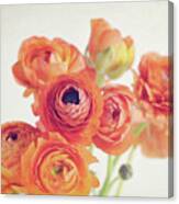 Orange Blooms Canvas Print