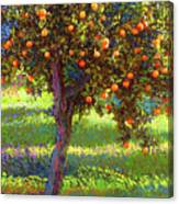 Orange Fruit Tree Canvas Print