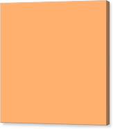 Orange Solid Color Match For Love And Peace Design Canvas Print