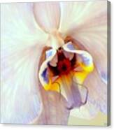 Orchid-beautiful Canvas Print