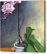 Orchid Linda Boyd Canvas Print