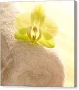 Orchid On Towel Canvas Print