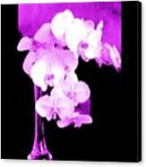 Orchid  Orchids By Viva Canvas Print