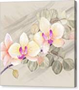 Orchids And Eucalyptus Canvas Print